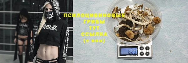 дмт Арсеньев