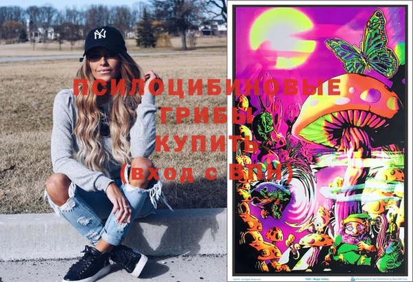 дмт Арсеньев