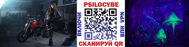 Галлюциногенные грибы MAGIC MUSHROOMS  Купить закладки  Лаишево 